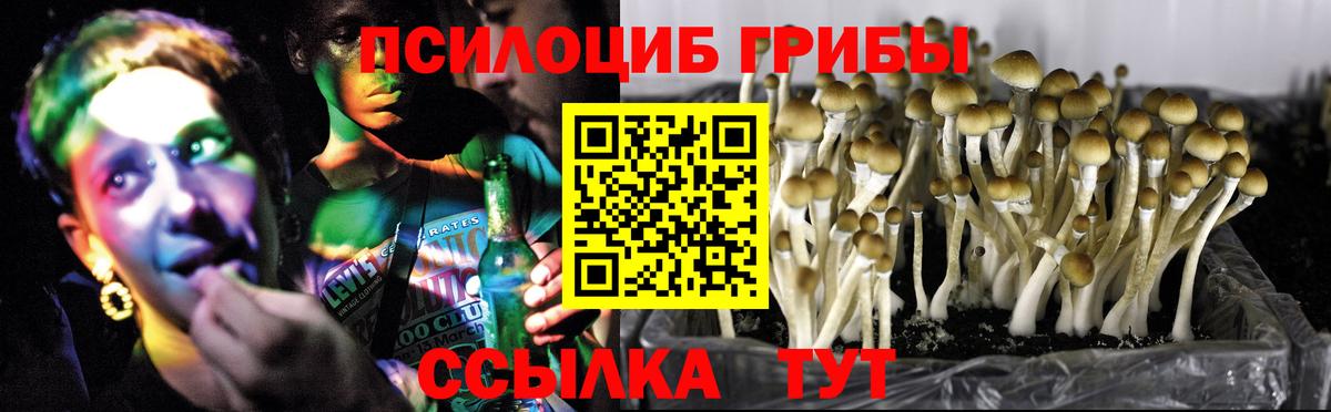 Галлюциногенные грибы мицелий  Псилоцибиновые грибы Magic Shrooms  где можно купить   Артёмовский  Вход с VPN 