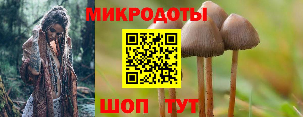 Галлюциногенные грибы мухоморы Артёмовский